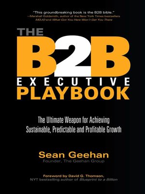 cover image of B2B Executive Playbook